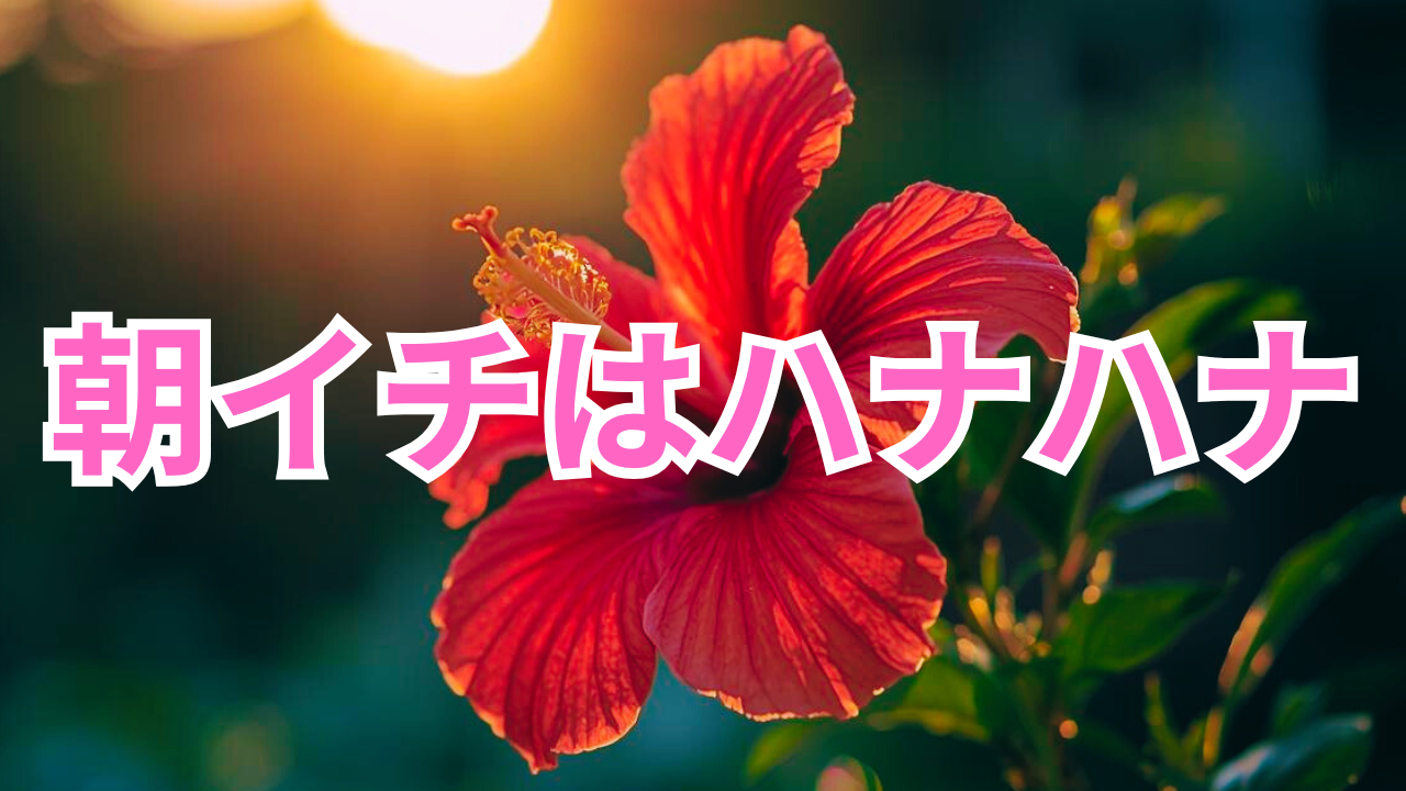 朝イチで当たりやすいパチンコ・スロットのモーニングイベントをイメージしたハイビスカスのアイキャッチ画像